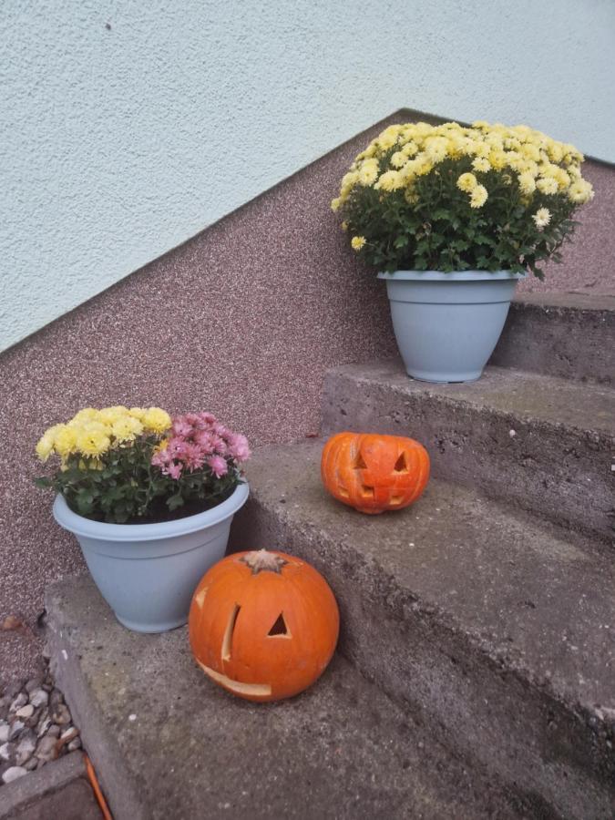 Apartment Am Gruenen Haus